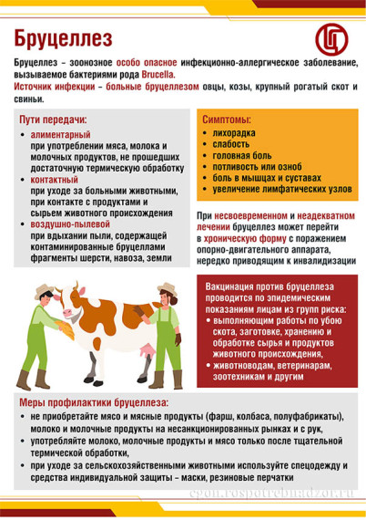 Внимание! Бруцеллёз!.